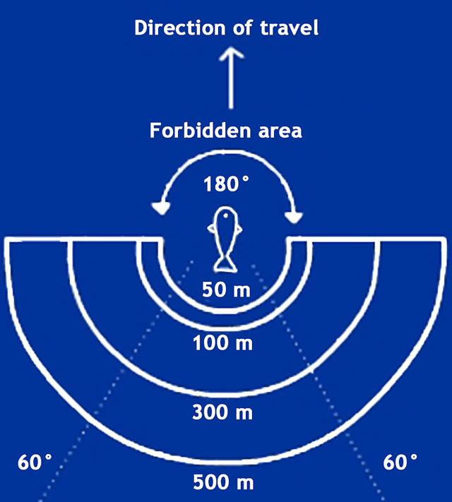 Minimum distances and correct approaches to cetaceans