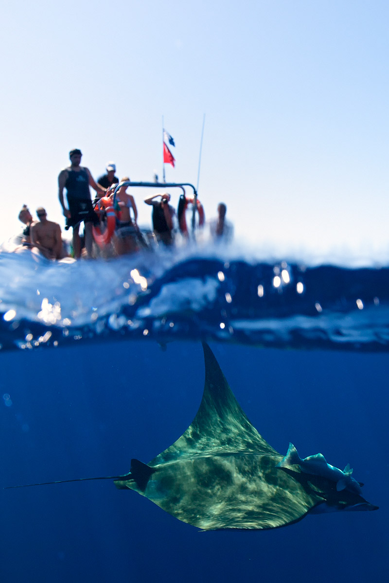 Diving Princess Alice - Photo by Jan Reyniers